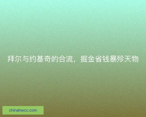 拜尔与约基奇的合流，掘金省钱暴殄天物