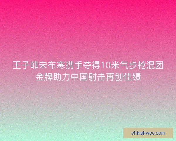 王子菲宋布寒携手夺得10米气步枪混团金牌助力中国射击再创佳绩