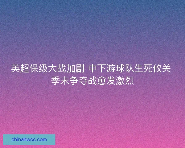 英超保级大战加剧 中下游球队生死攸关 季末争夺战愈发激烈 英超保级大战加剧 中下游球队生死攸关 季末争夺战愈发激烈