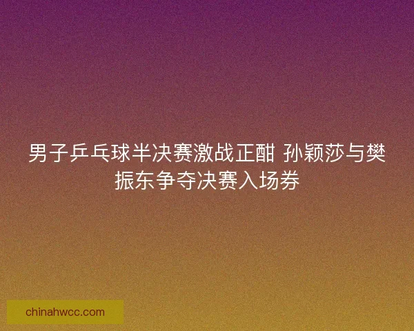 男子乒乓球半决赛激战正酣 孙颖莎与樊振东争夺决赛入场券 男子乒乓球半决赛激战正酣 孙颖莎与樊振东争夺决赛入场券